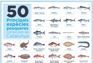 Pòster 50 principals espècies pesqueres Catalunya