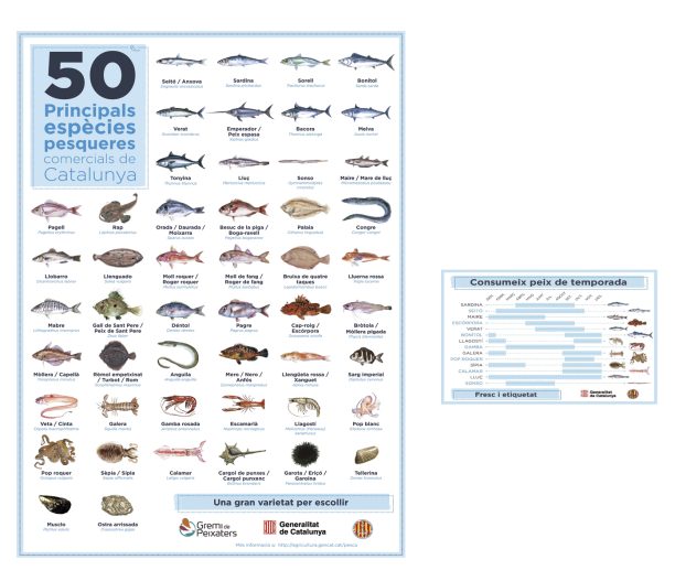 Pòster 50 principals espècies pesqueres